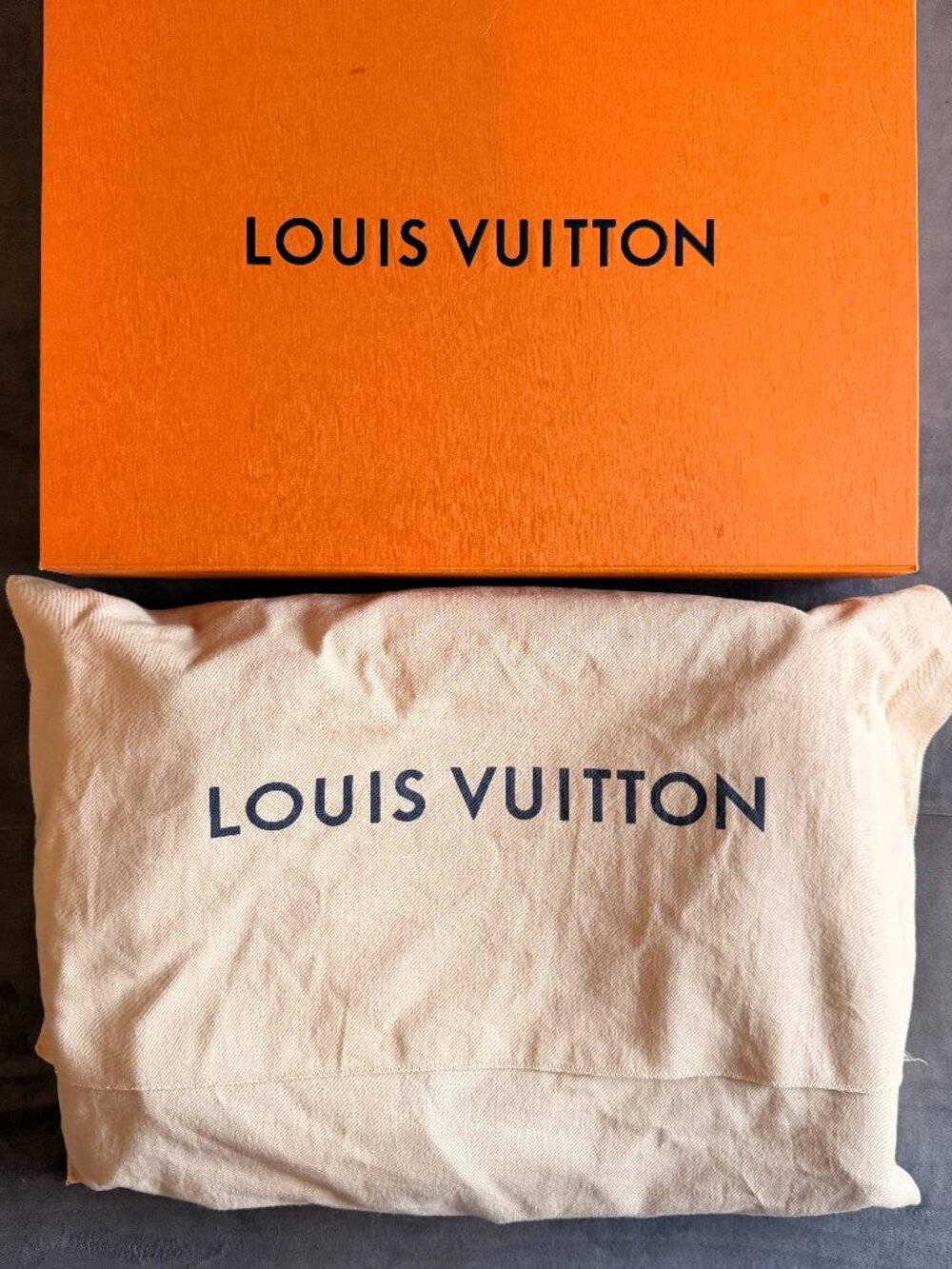 LV Backpack - Picture 4 of 4